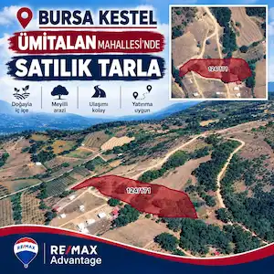 REMAX ADVANTAGE TAN DOĞAYLA IÇ IÇE DEĞERLI YATIRIM FIRSATI 