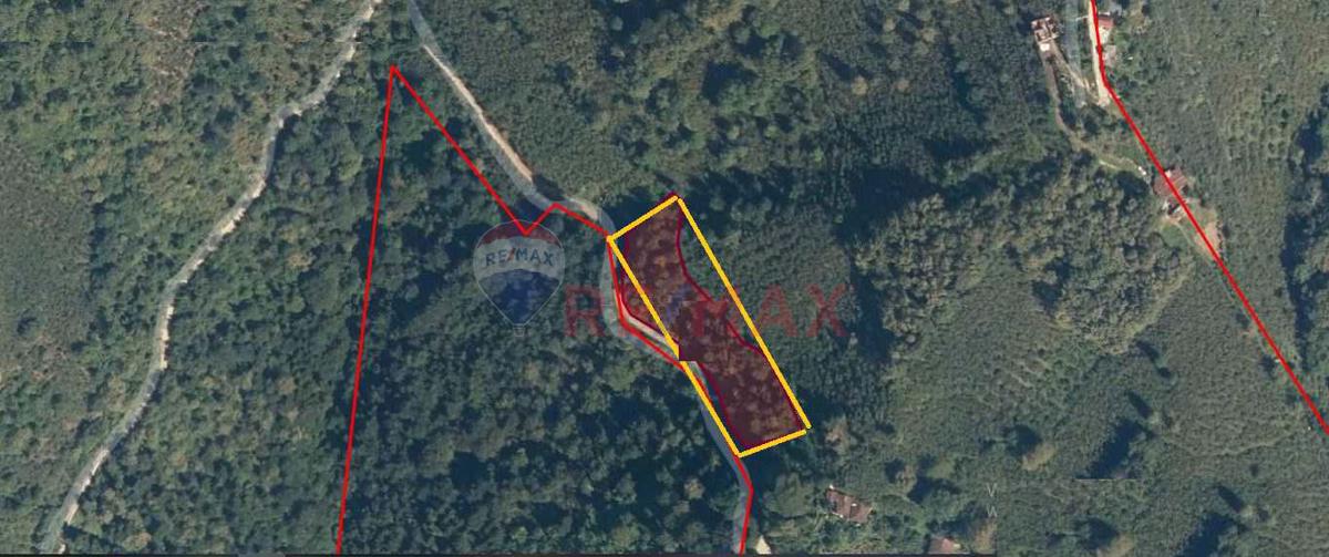 FINDIK BAHÇEM OLSUN DIYENLERE