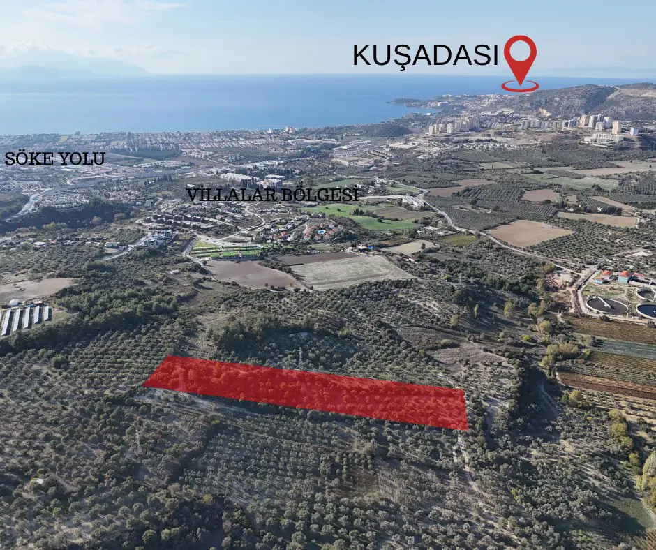 KUŞADASI,KIRAZLI MAHALLESI'NDE,MERKEZE YAKIN ZEYTINLIK-TARLA