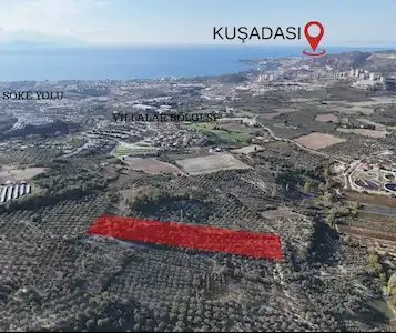 KUŞADASI,KIRAZLI MAHALLESI'NDE,MERKEZE YAKIN ZEYTINLIK-TARLA