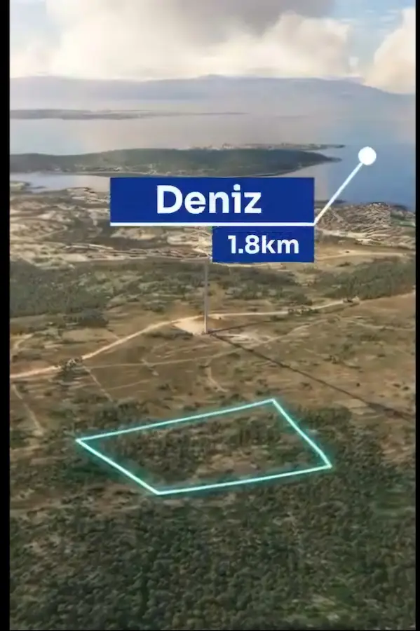 ÇEŞME REISDERE'DE 17919 M2 ZEYTIN AĞAÇLI SATILIK TARLA