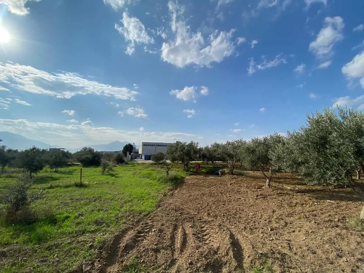 Property image 16