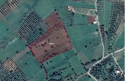 BODRUM SAZKÖY DE SATILIK TARLA 3.786 M2