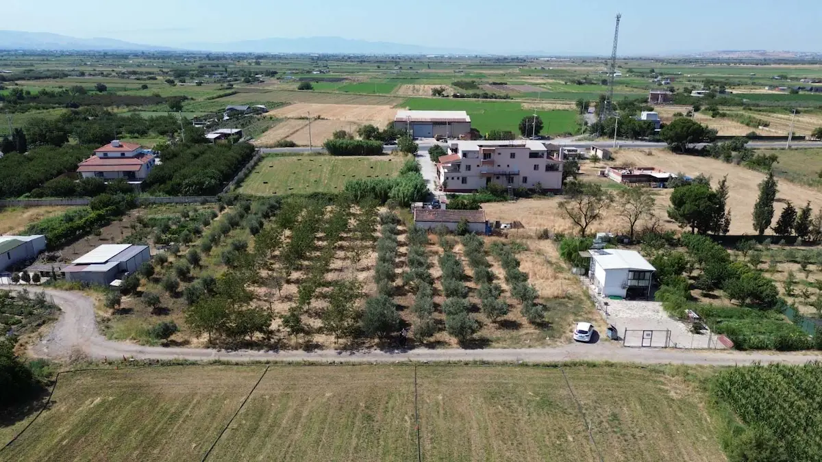 FOÇA ÇEVRE YOLU YAKINI 373 M2 ZEYTIN AĞAÇLI TARLA