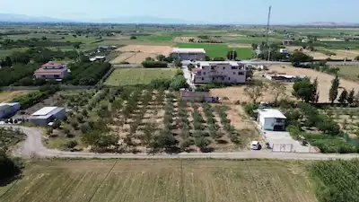 FOÇA ÇEVRE YOLU YAKINI  373 M2 ZEYTIN AĞAÇLI TARLA 
