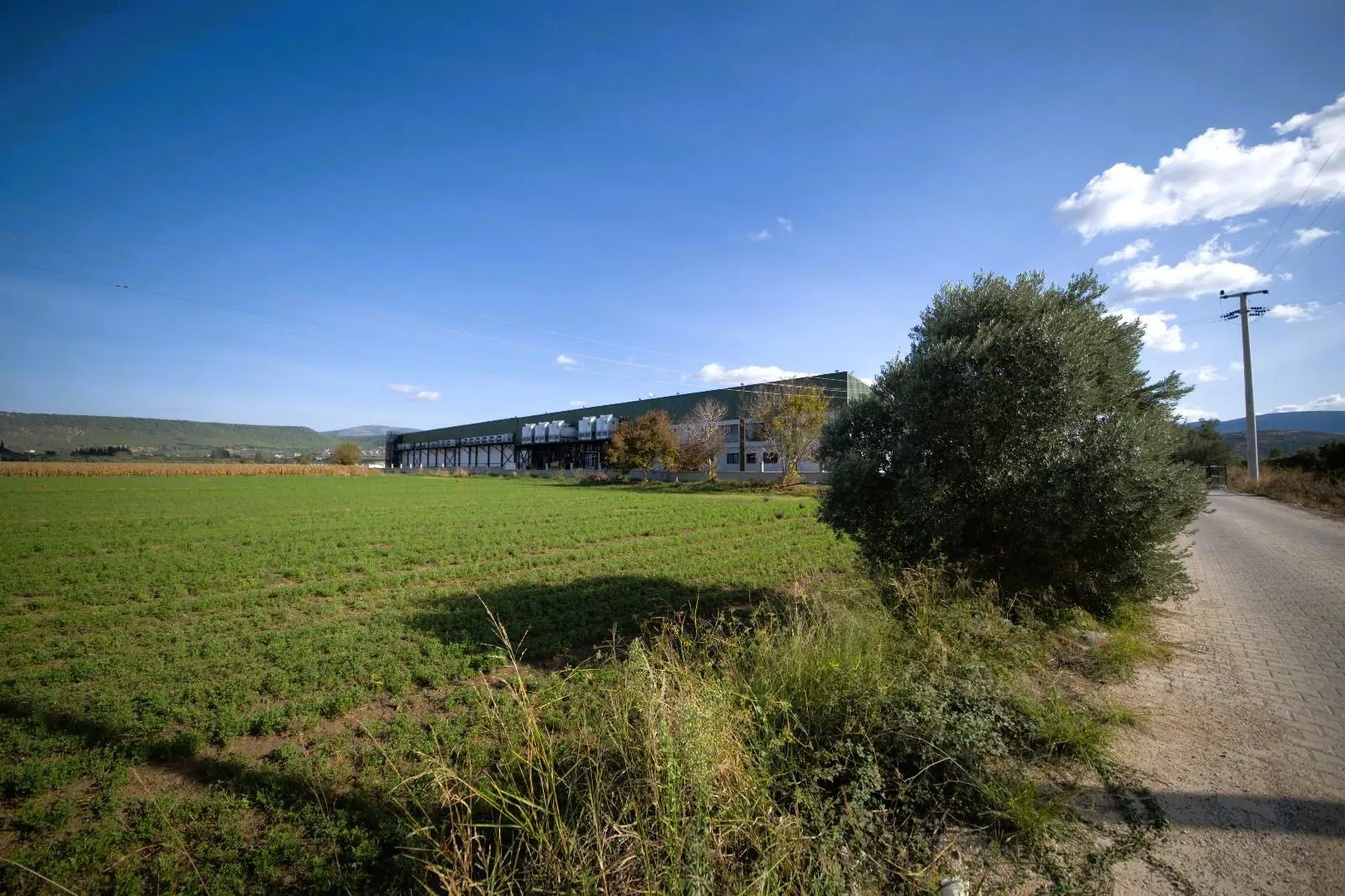 Property image 21