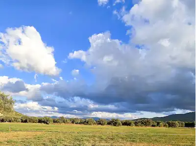 BODRUM HAVAALANINA YAKIN KADASTRAL YOLU OLAN 130 DÖNÜM TARLA