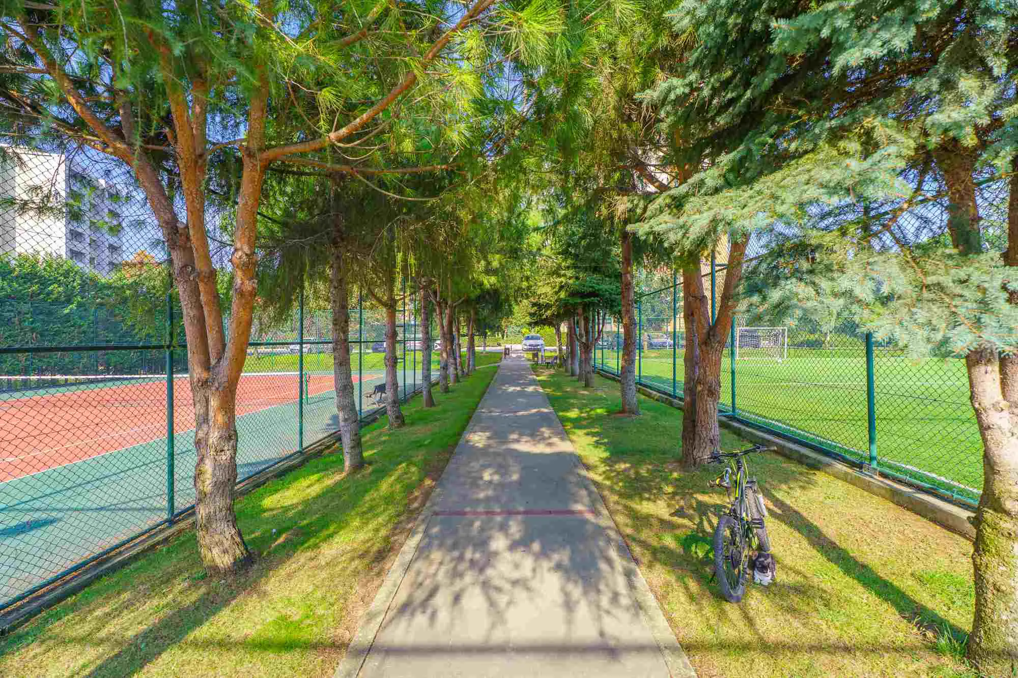 Property image 50