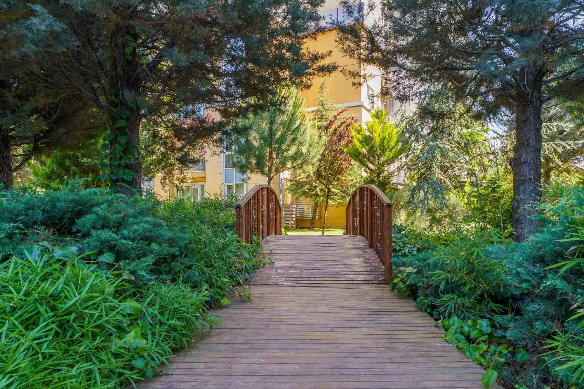 Property image 61