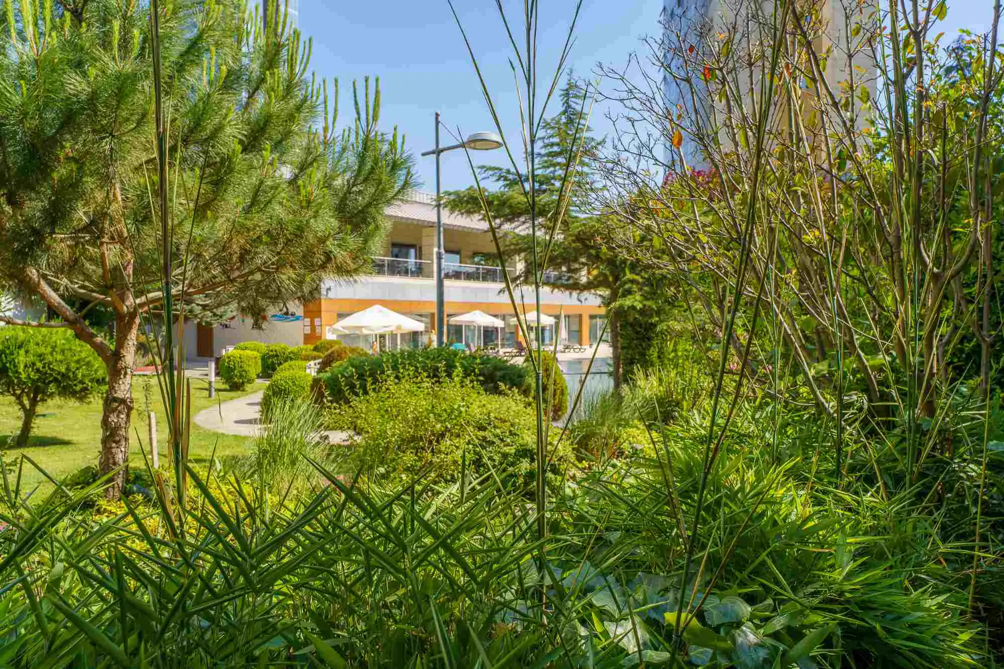 Property image 60