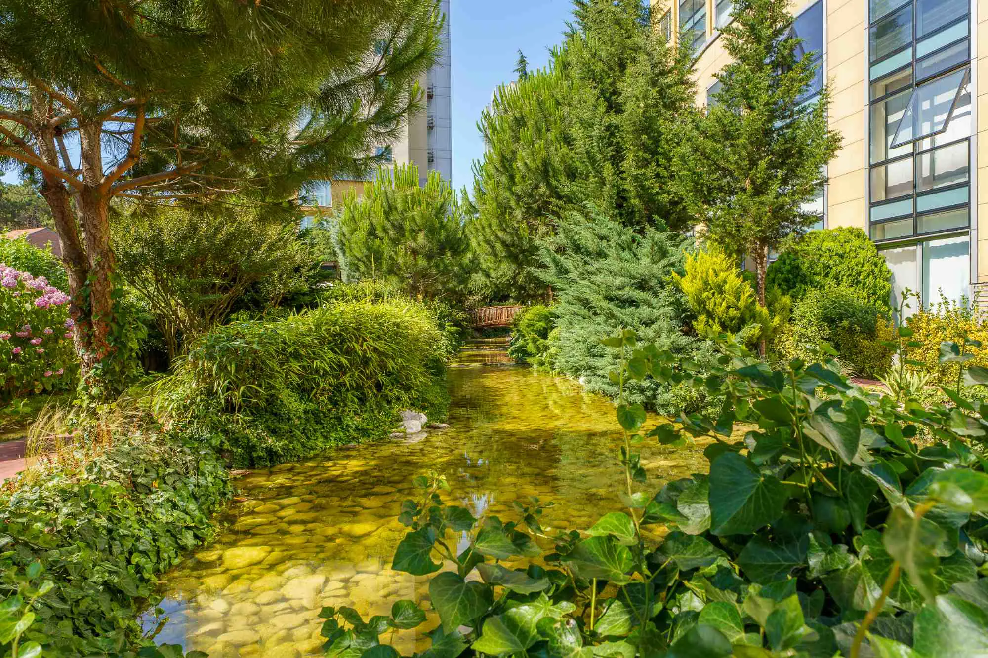 Property image 54