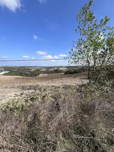 ARNAVUTKÖY BOYALIK'TA HAVALİMANINA 8 KM 10.5 DÖNÜM YATIRIMLIK MÜSTAKİL TAPU TARLA