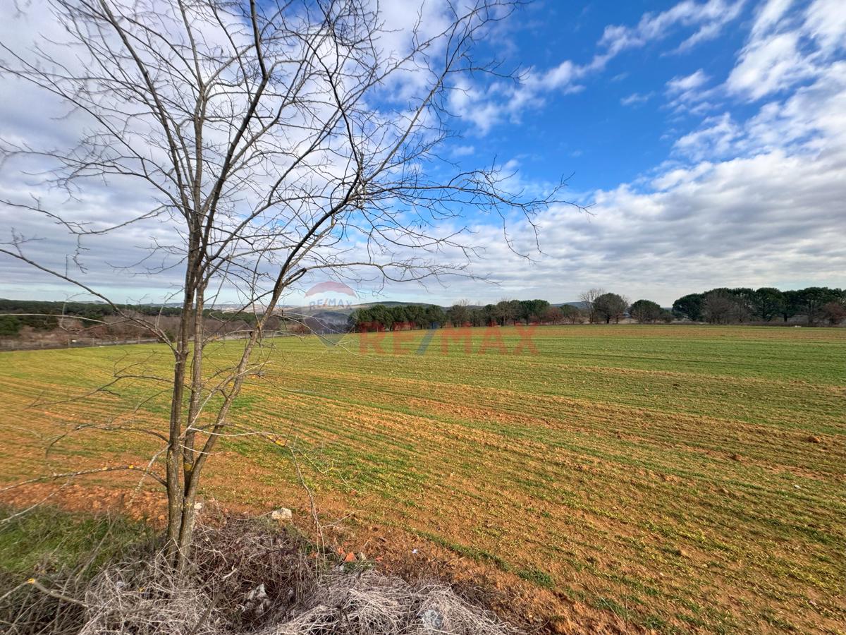 PENDİK KURNAKÖY YATIRIM DEĞERİ YÜKSEK SATILIK MÜSTAKİL 12.703 M2