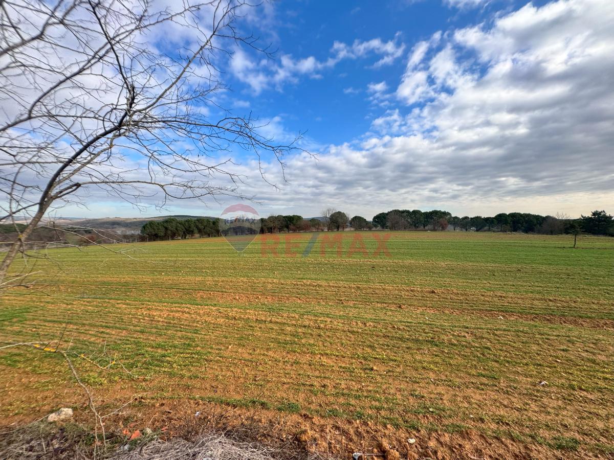 PENDİK KURNAKÖY YATIRIM DEĞERİ YÜKSEK SATILIK MÜSTAKİL 12.703 M2