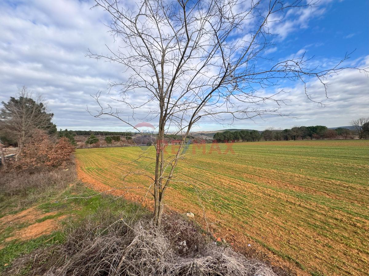 PENDİK KURNAKÖY YATIRIM DEĞERİ YÜKSEK SATILIK MÜSTAKİL 12.703 M2