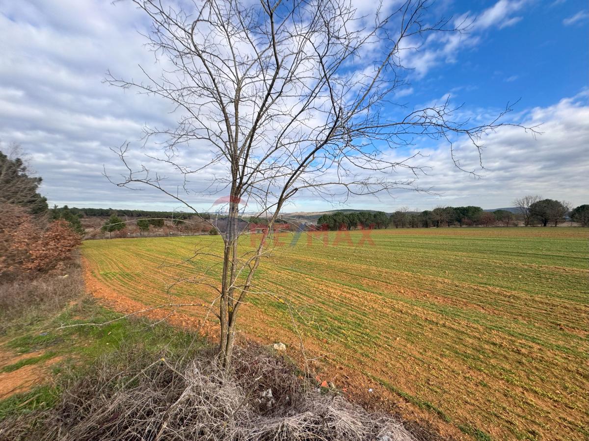 PENDİK KURNAKÖY YATIRIM DEĞERİ YÜKSEK SATILIK MÜSTAKİL 12.703 M2