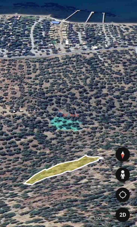 AYVACIKTA 1190M2 DENİZ MANZARALI ZEYTINLİK