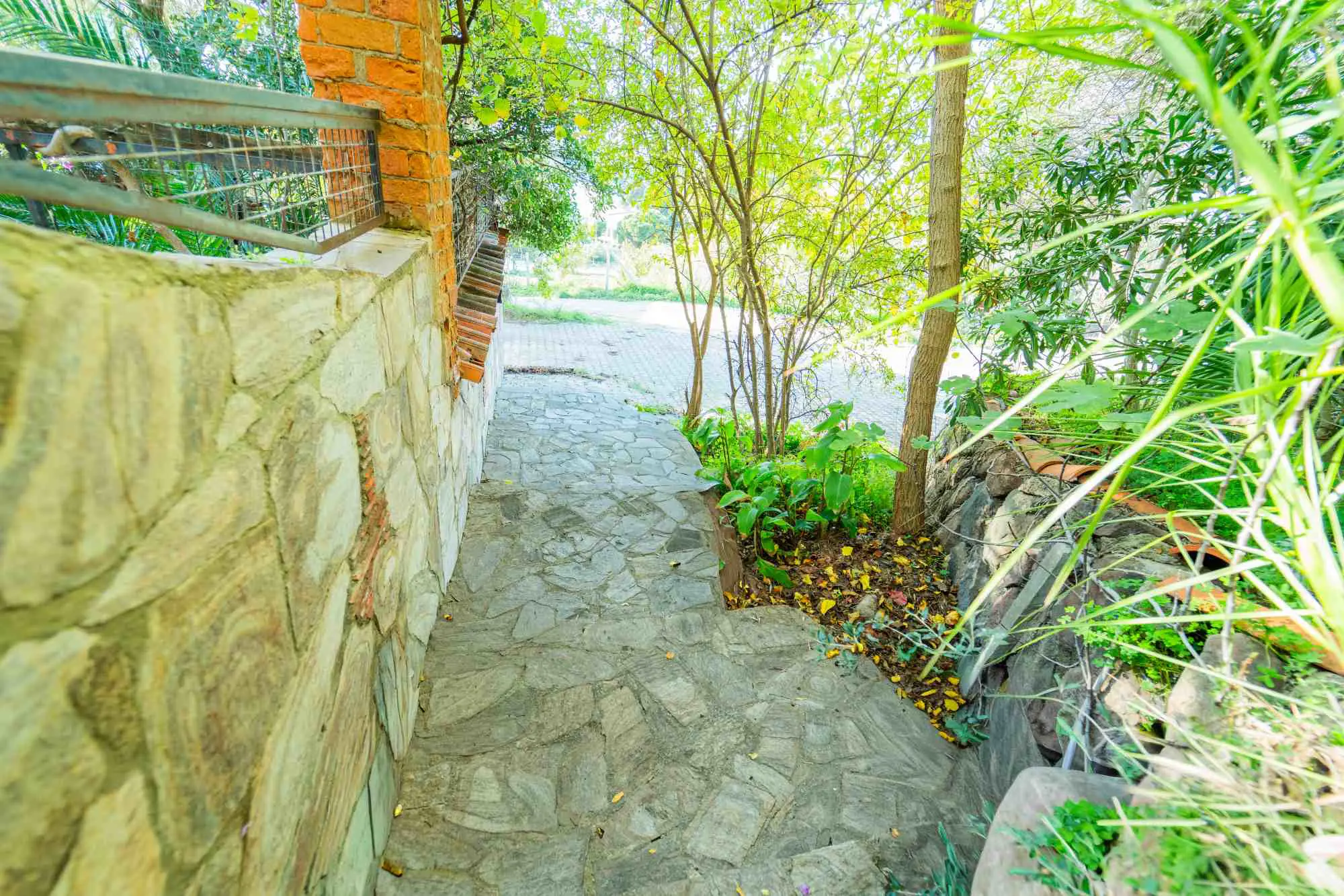 Property image 18