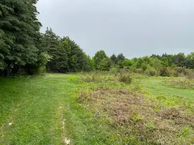 BEYKOZ MAHMUTŞEVKETPAŞA CENAPLARDA YOL ÜSTÜ KÖŞE PARSEL