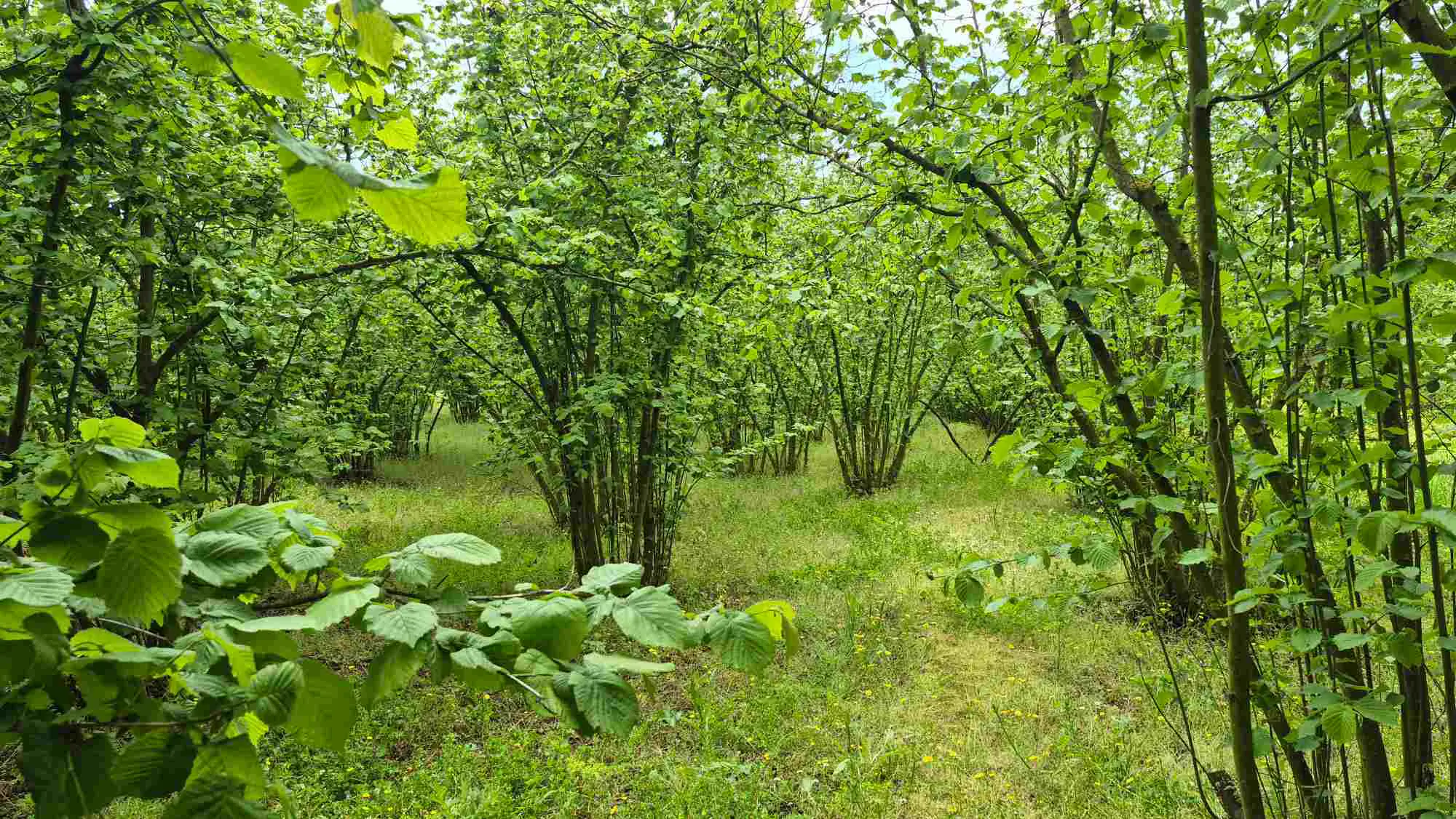 Property image 23
