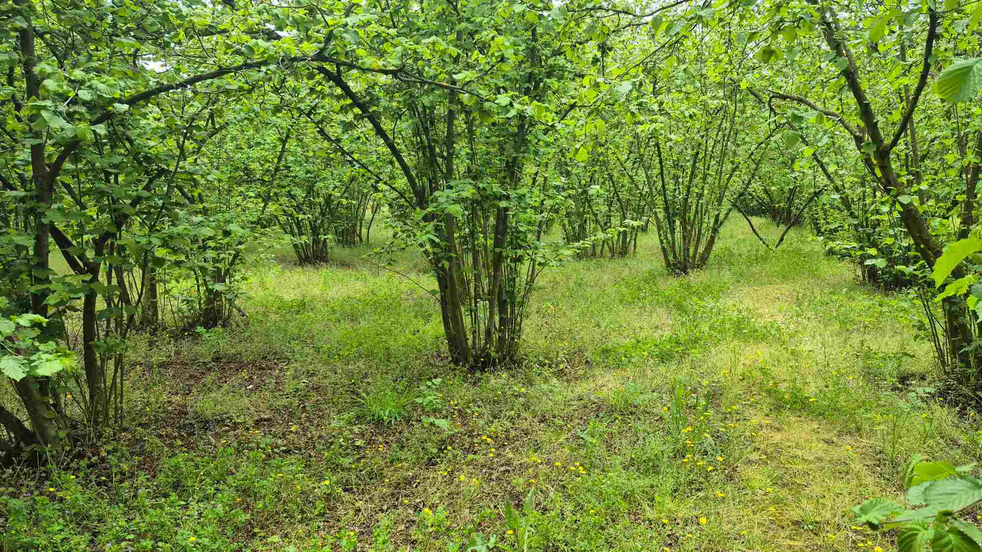 Property image 24