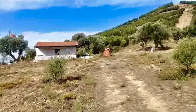 SEFERİHİSAR ‘DA SATILIK ZEYTİNLİ TARLA