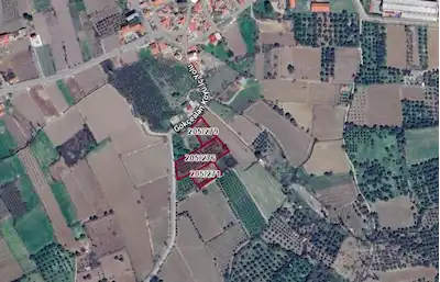 İZMİR SELÇUK GÖKÇEALAN'DA ANA YOLA SIRIF SATILIK 4907 M2 ZEYTİNLİK