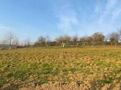 KARTEPE AVLUBURUN'DA SATILIK 5000 M2 RESMİ YOLLU TARLA