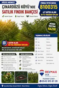 REMAX DIA'DAN DÜZCE ÇINARDÜZÜ KÖYÜ'NDE SATILIK VERİMLİ FINDIKLIK
