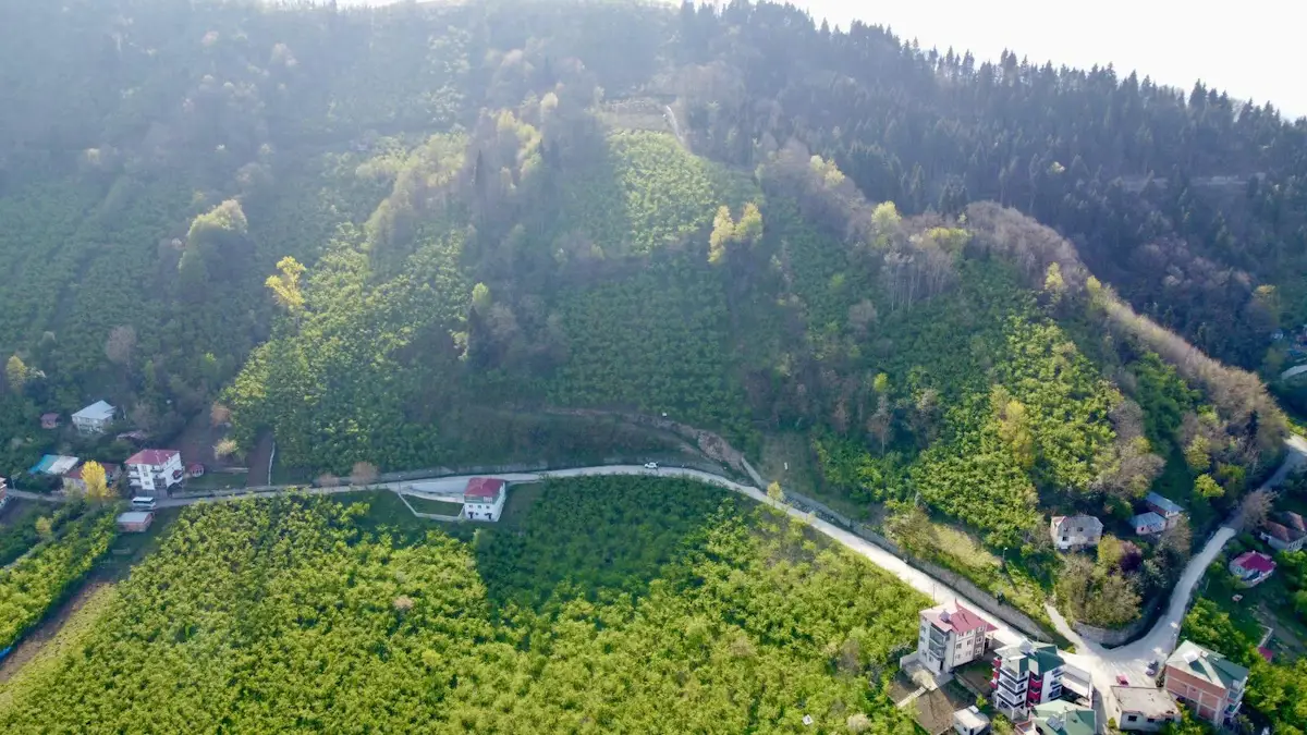 TOSKÖYDE KADASTRAL YOLU AÇILMIŞ 1106 M2 SATILIK ARSA