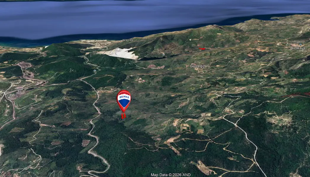 MUĞLA MILAS BAYIR'DA SATILIK ZEYTINLIK