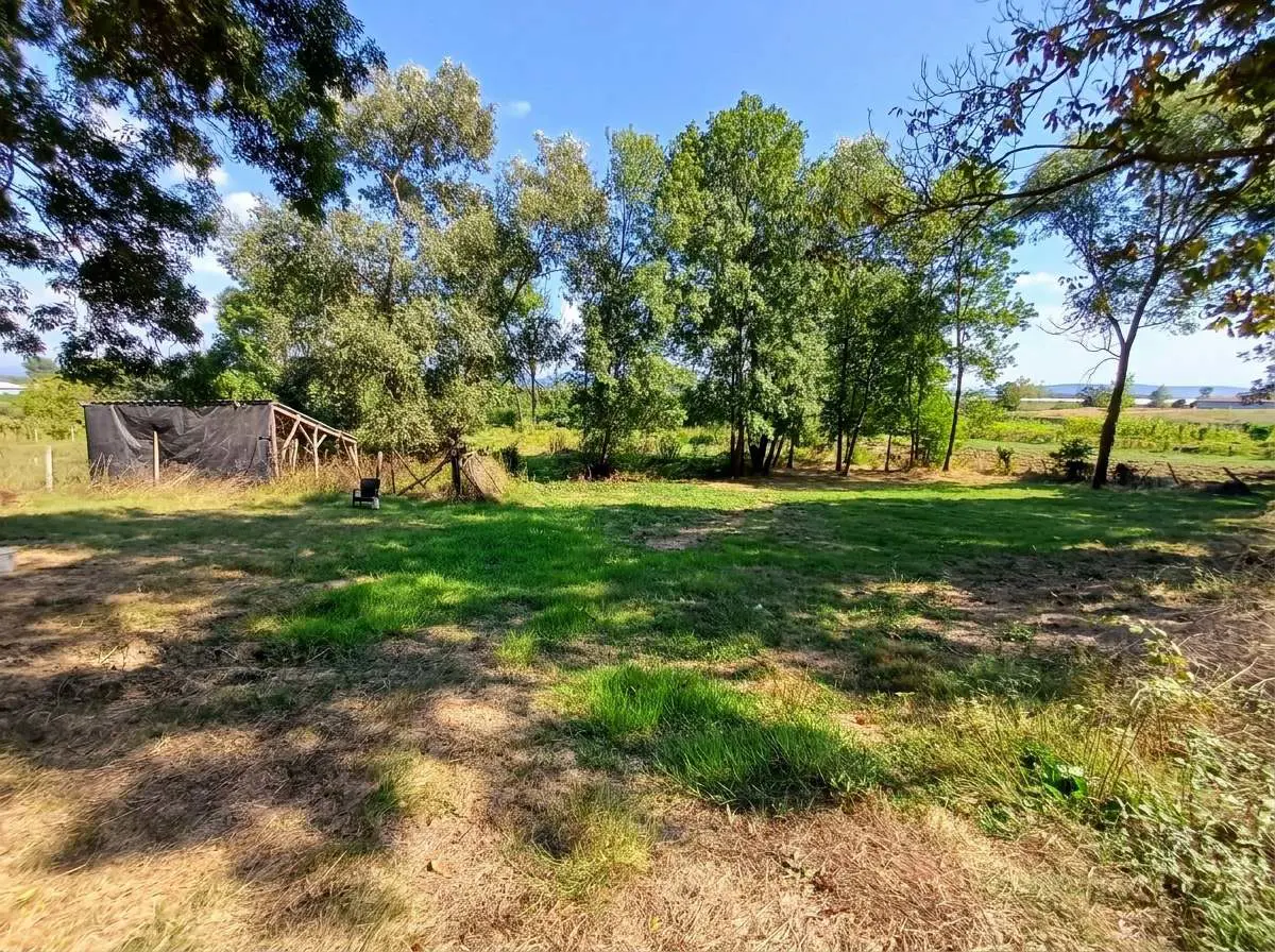 Property image 24