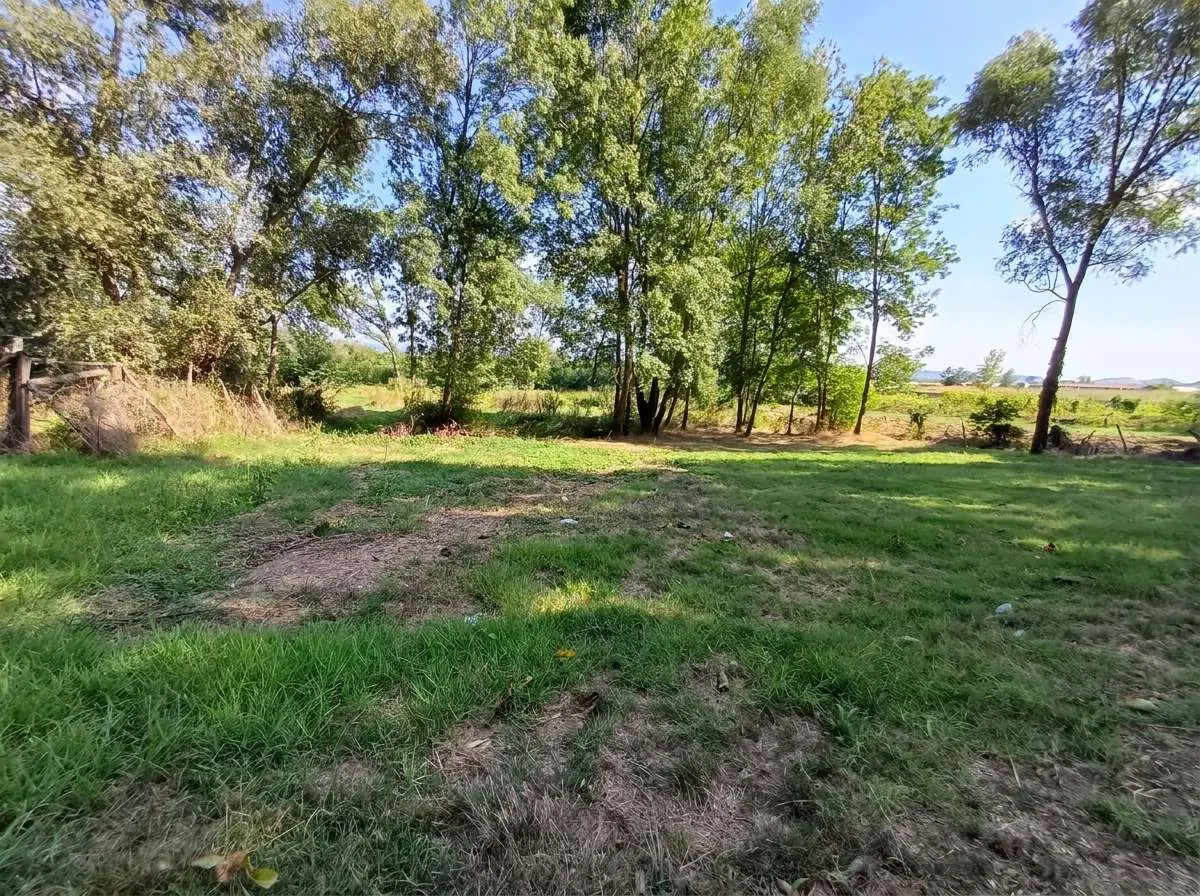 Property image 23