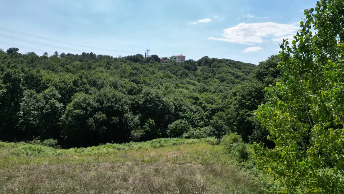 ÇAVUŞBAŞI BAKLACI MH. 1.183M² NET MÜSTAKIL SATILIK ARSA