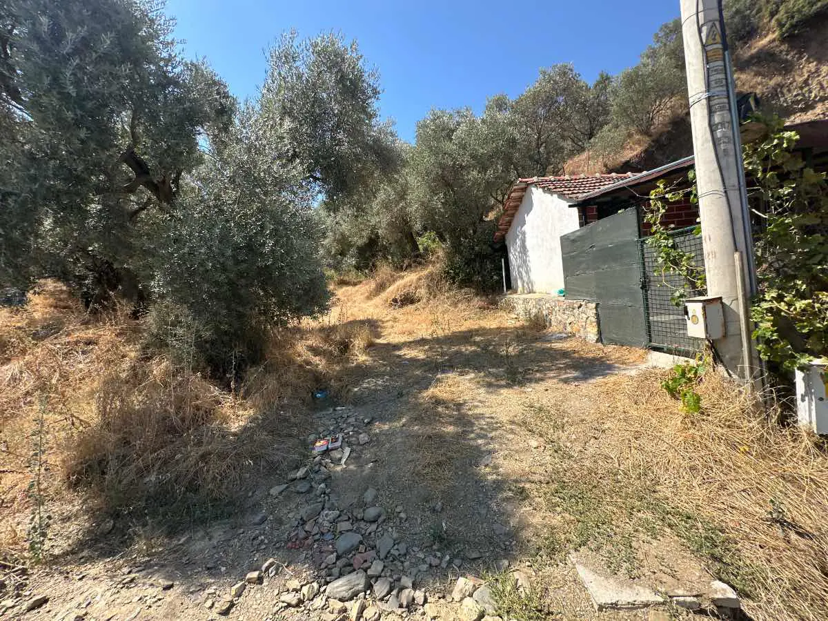 Property image 56