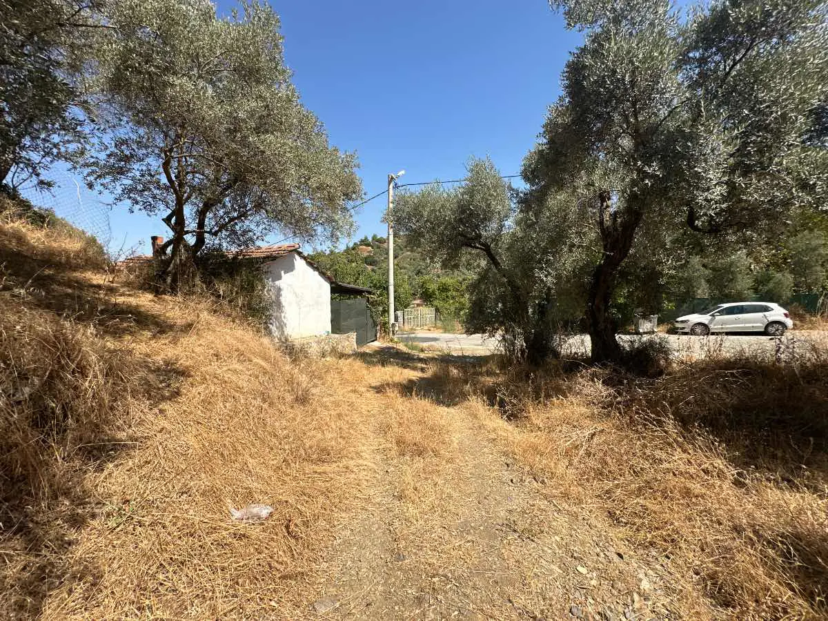 Property image 10