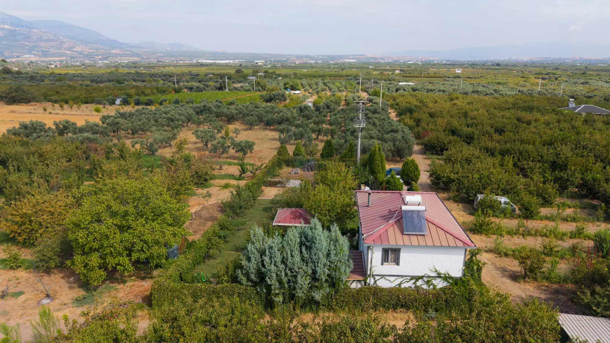 Property image 35