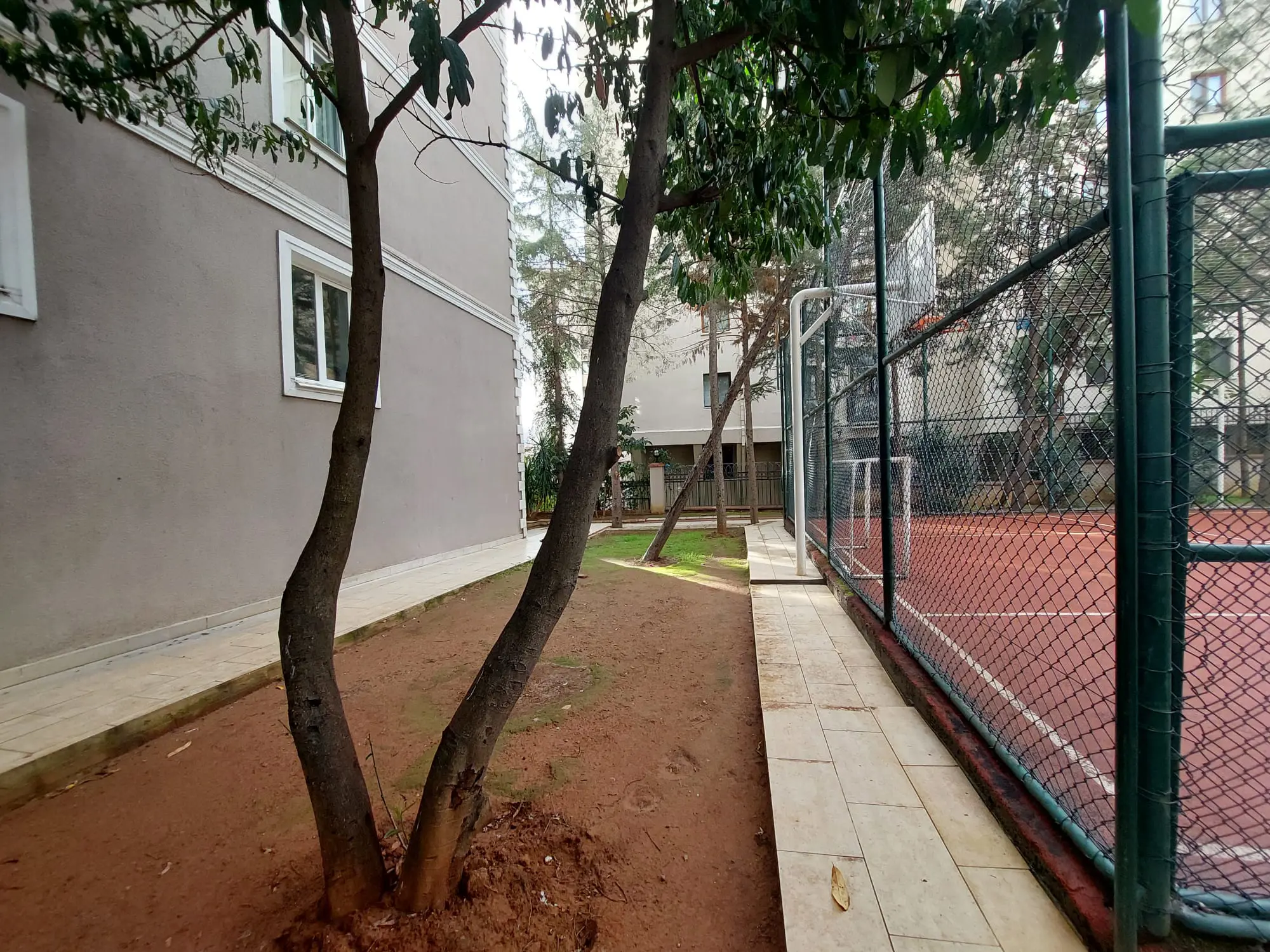 Property image 23