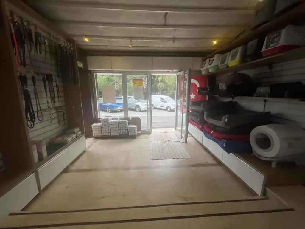 Property image 8
