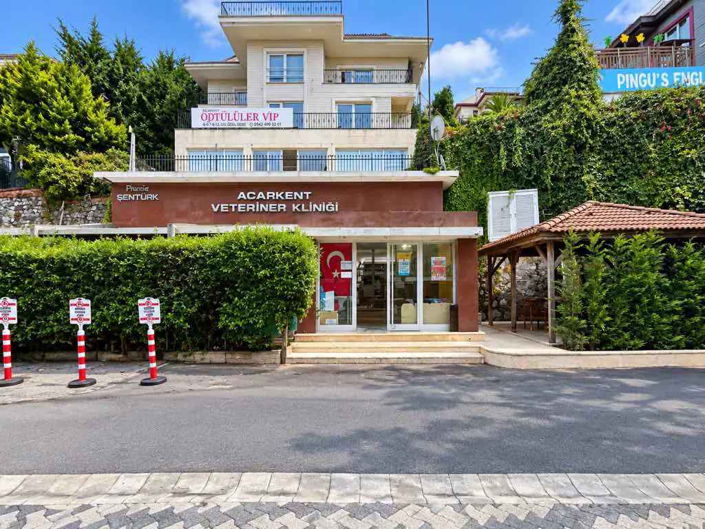 REMAX7TEPE DEN ACARKENT İN EN DEĞERLİ TİCARİ MÜLKÜ DUBLEX 300 M2 TABELA DEĞERİ YÜKSEK