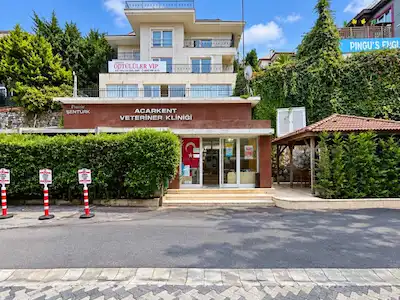 REMAX7TEPE DEN ACARKENT İN EN DEĞERLİ TİCARİ MÜLKÜ DUBLEX 300 M2 TABELA DEĞERİ YÜKSEK