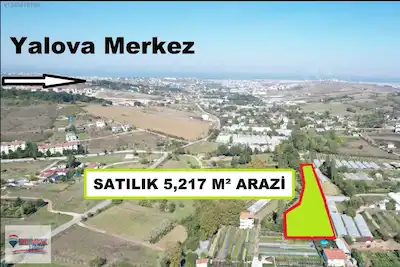 YALOVA REMAX ŞEHİR'DEN ELMALIK KÖYÜNDE SATILIK TARLA