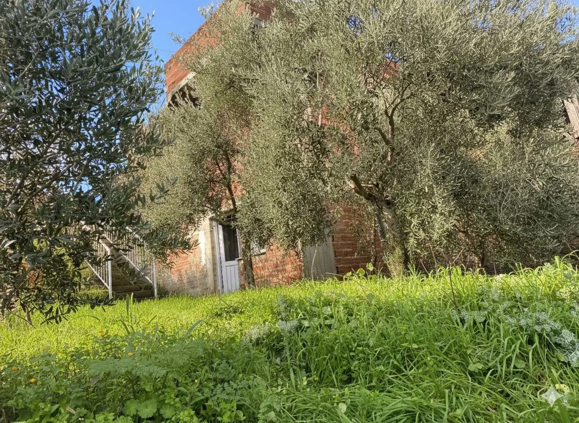 Property image 18