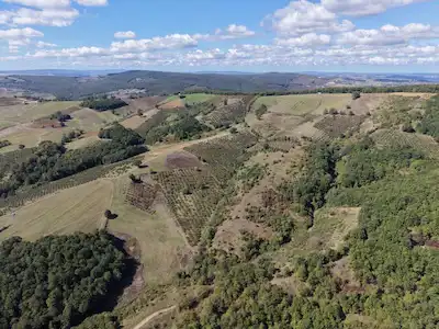 İZMİT BAĞLICA'DA SATILIK 14.383 M2 FINDIK BAHÇESİ