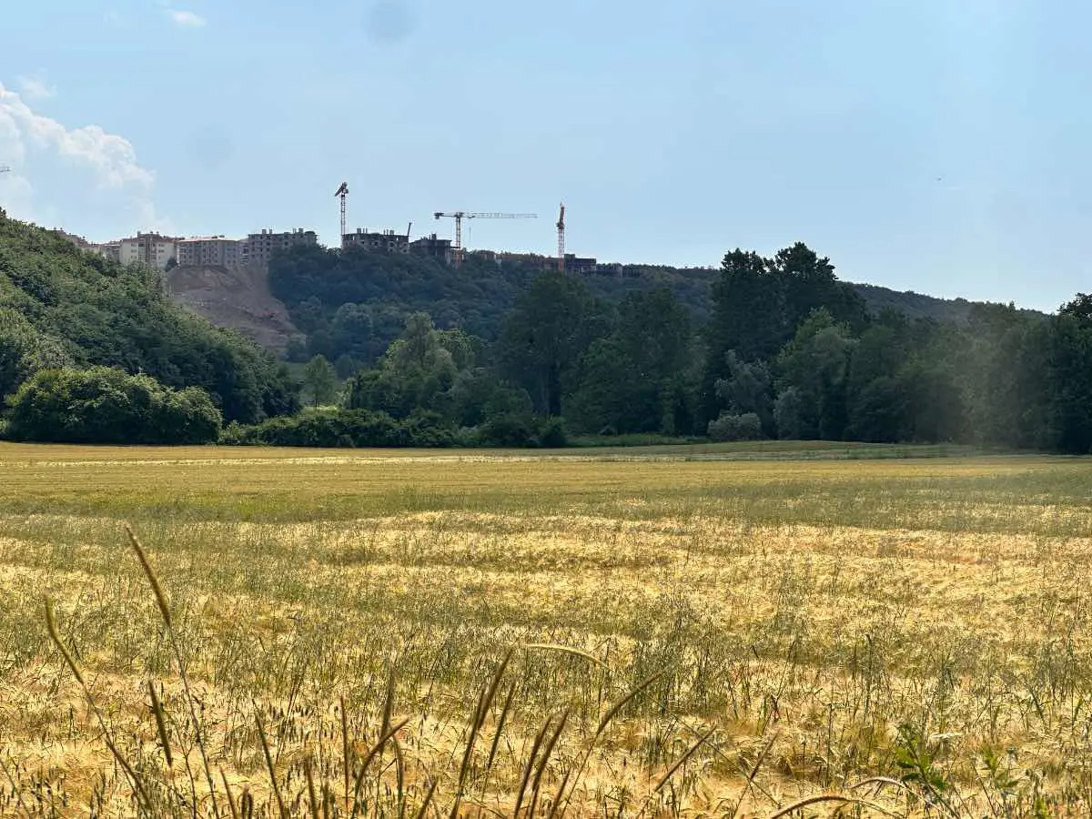 REMAX ŞABAN KARAKAŞ KORUCUKTA 11588M2 İMARA YAKIN YATIRIM FIRSATI