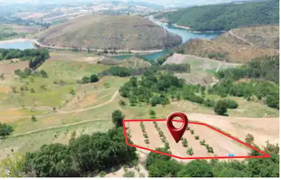 REMAX KANYON'DAN AKÇAT'DA 3137M2 GÖLET MANZARALI CEVIZ BAHÇESI.