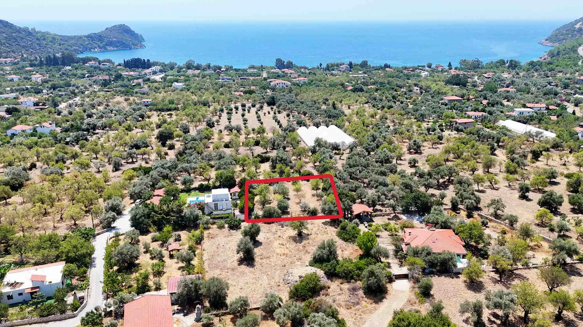 Property image 18