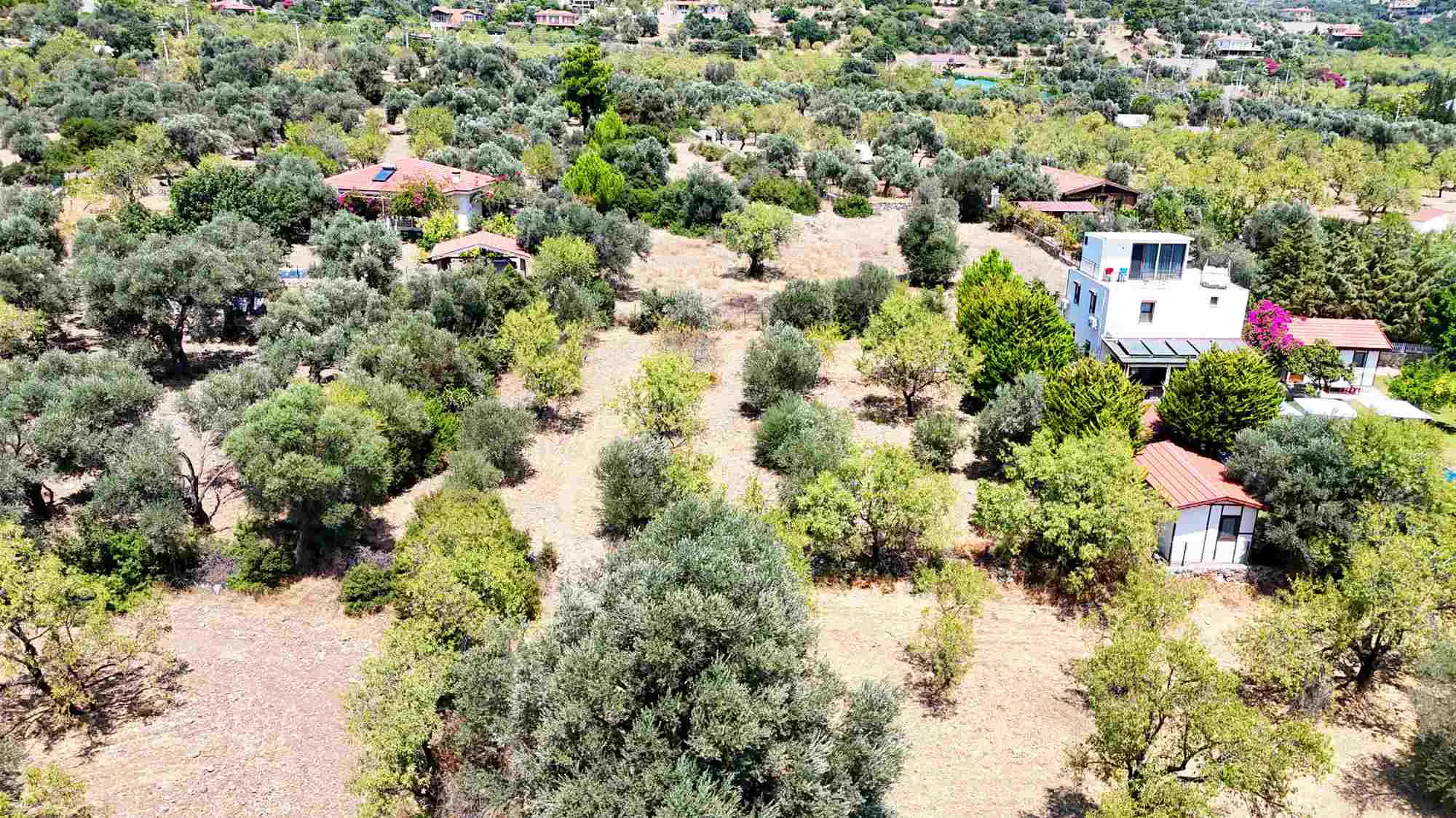 Property image 23