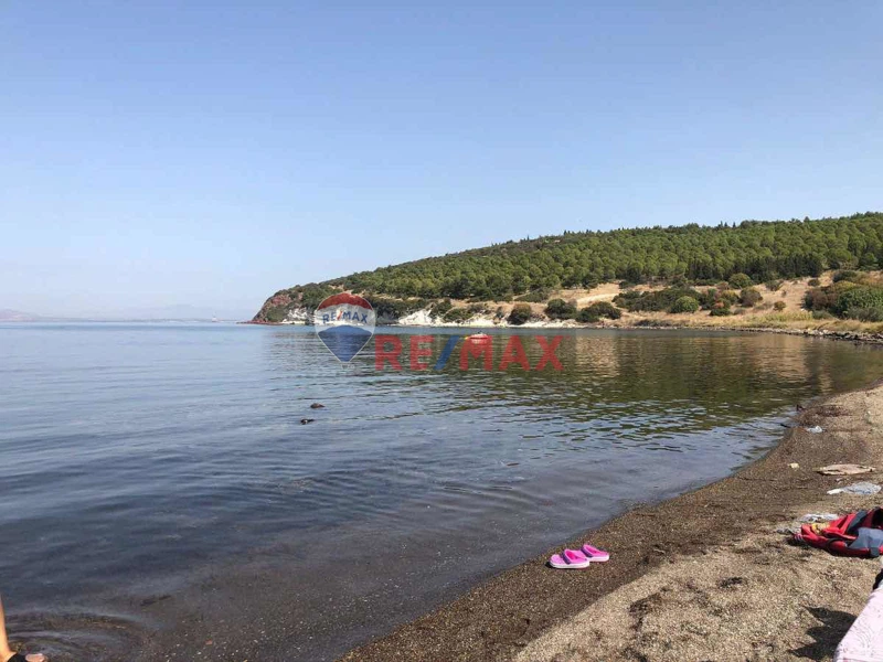 ALİAĞADA DENİZE SIFIR 1.239 M² MÜSTAKİL TAPULU TARLA