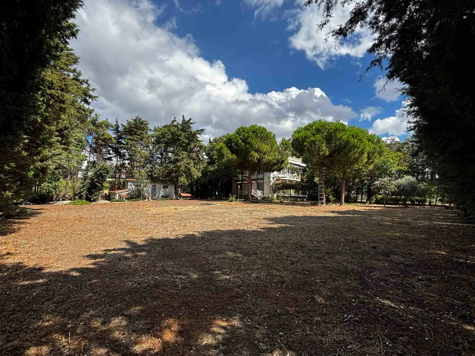 Property image 34
